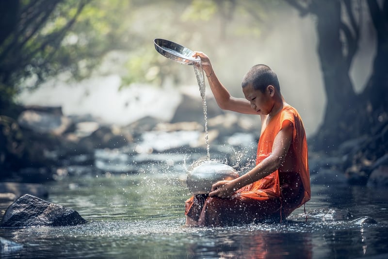 Nature Connection Rituals