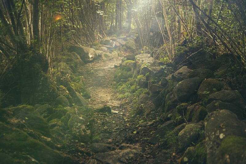 Outdoor Adventure Fitness